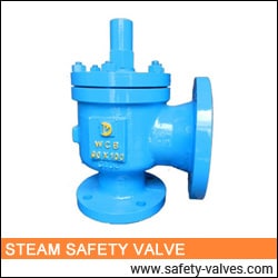 Steam Safety Valve India