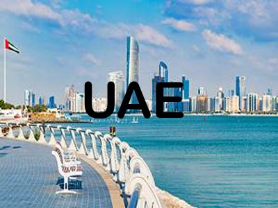 Leser Type Safety Relief Valve Supplier in UAE